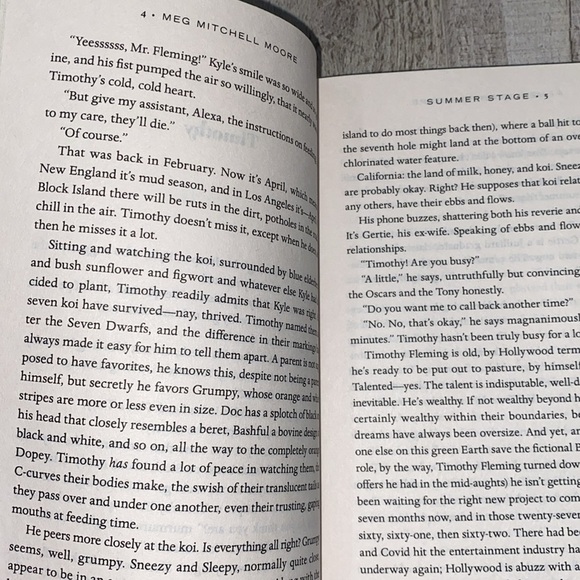 Summer Stage by Meg Mitchell Moore novel - Picture 7 of 7